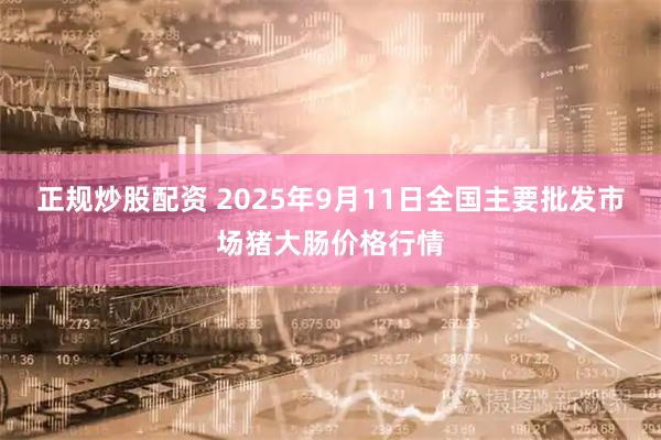 正规炒股配资 2025年9月11日全国主要批发市场猪大肠价格行情