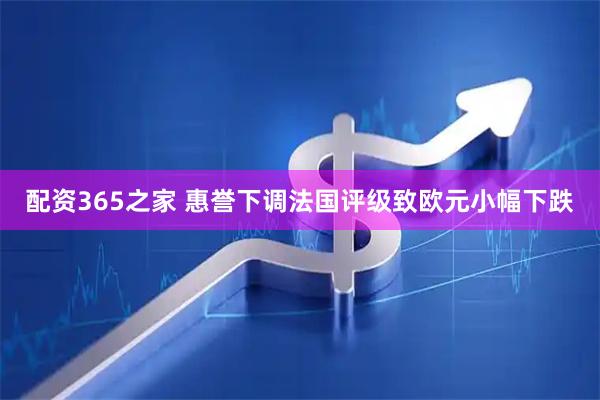 配资365之家 惠誉下调法国评级致欧元小幅下跌